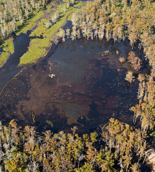 Sink Hole.
